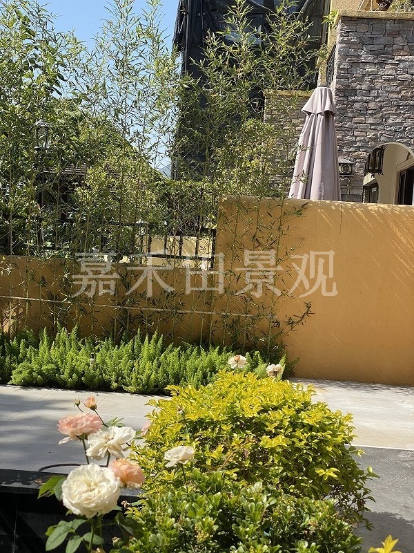 別墅花園的養(yǎng)護(hù)技巧包括哪些方面？